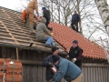 2013-01-26_11-21-53