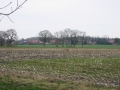2008-03-15_16-12-00