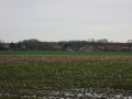 2008-03-15_16-12-07