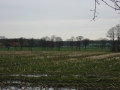 2008-03-15_16-12-12