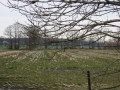 2008-03-15_16-12-19